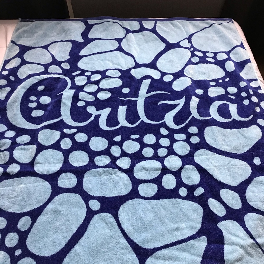 Aritzia Beach Towel
